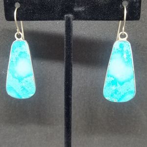 Buffed genuine turquoise earrings.